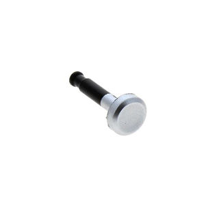 Image sur BUTTON SILVER