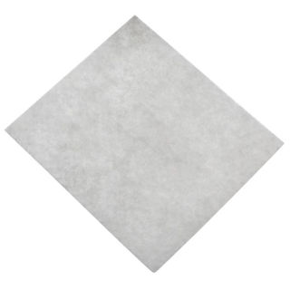 Image sur AIR INLET FILTER.